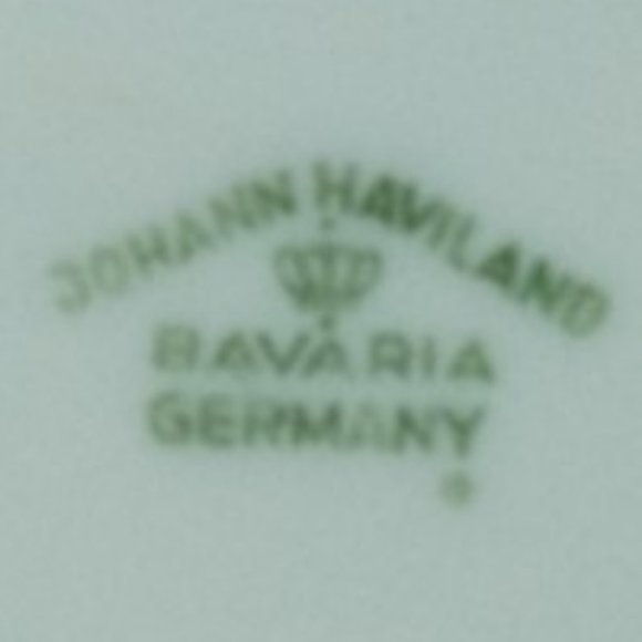 Dinner Plate Blue Garland by JOHANN HAVILAND 10' - Picture 3 of 4